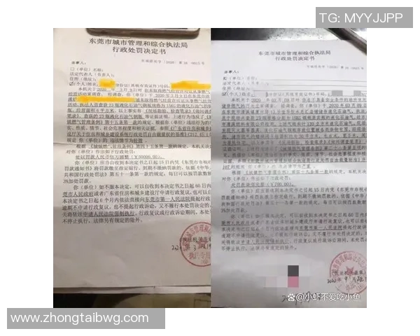 羽毛球赛事裁判判罚标准及公平性分析 羽毛球赛事裁判判罚标准及公平性分析