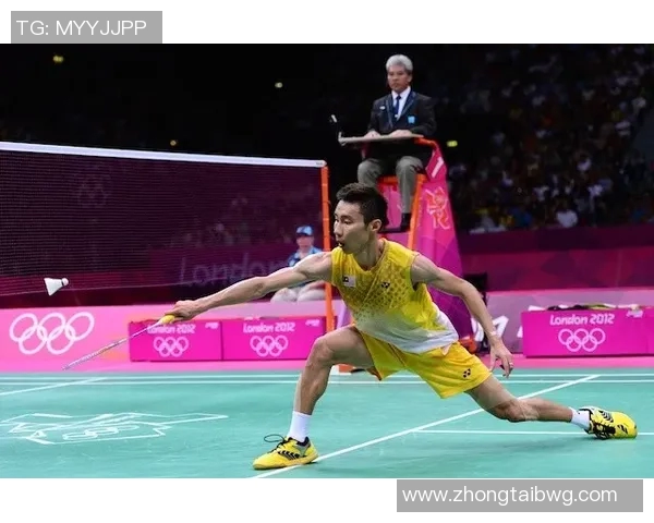 羽毛球顶级赛事发展历程回顾与未来前景展望